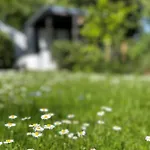 公寓 Blick Ins Gruene *