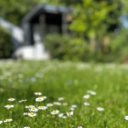 Blick Ins Gruene Апартаменты *