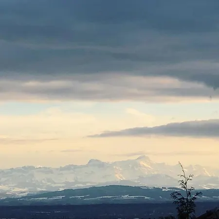 Апартаменты Blick Ins Gruene