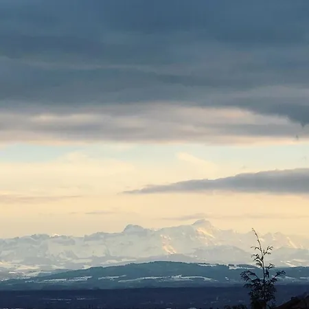 Blick Ins Grüne Daire *