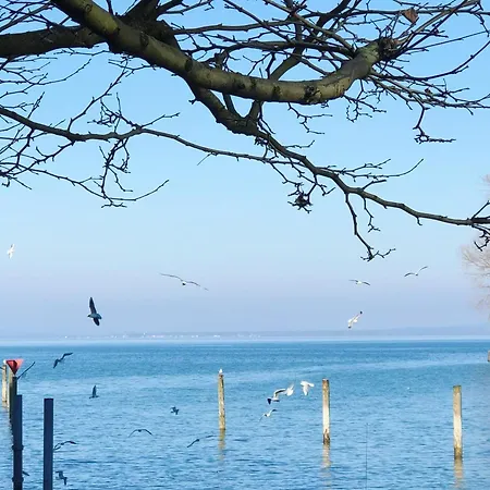 Daire Blick Ins Grüne