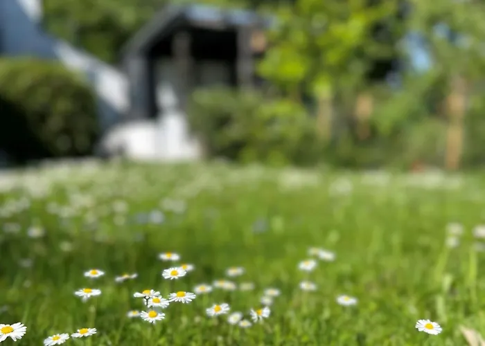 Blick Ins Gruene 公寓 *