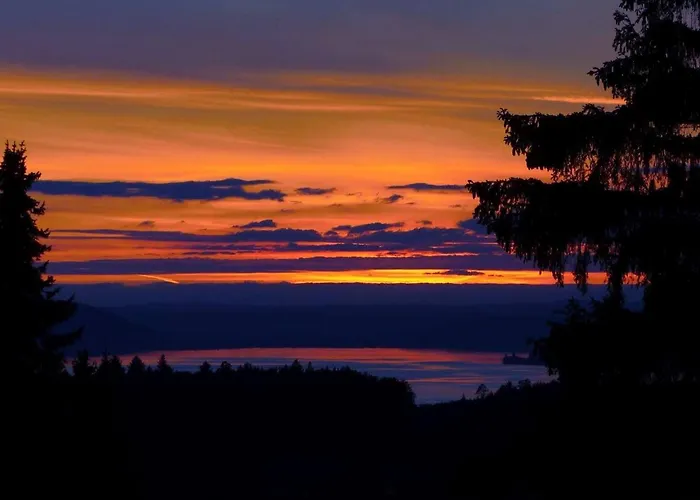 Blick Ins Gruene 达森多夫