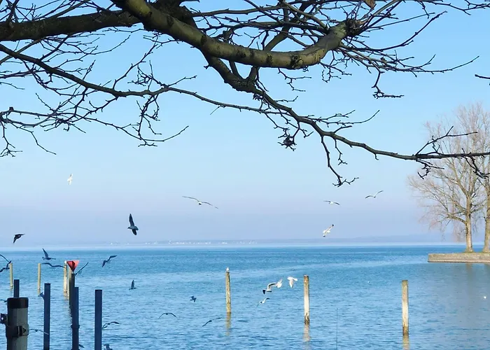 Blick Ins Gruene アパート